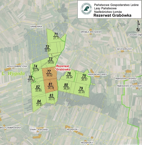Mapa z lokalizacją Rezerwatu Grabówka